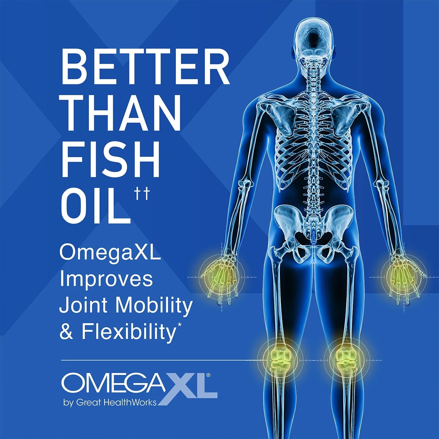 OmegaXL Green-Lipped Mussel Oil – 300 Softgels – New Zealand Omega-3