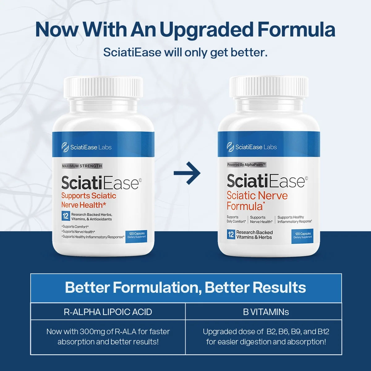 SciatiEase Sciatic Nerve Support Supplement – AlphaPalm, PEA, B Complex – 120 Capsules