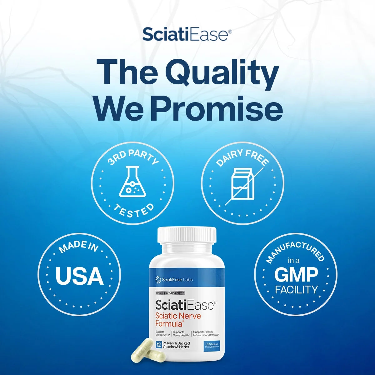 SciatiEase Sciatic Nerve Support Supplement – AlphaPalm, PEA, B Complex – 120 Capsules