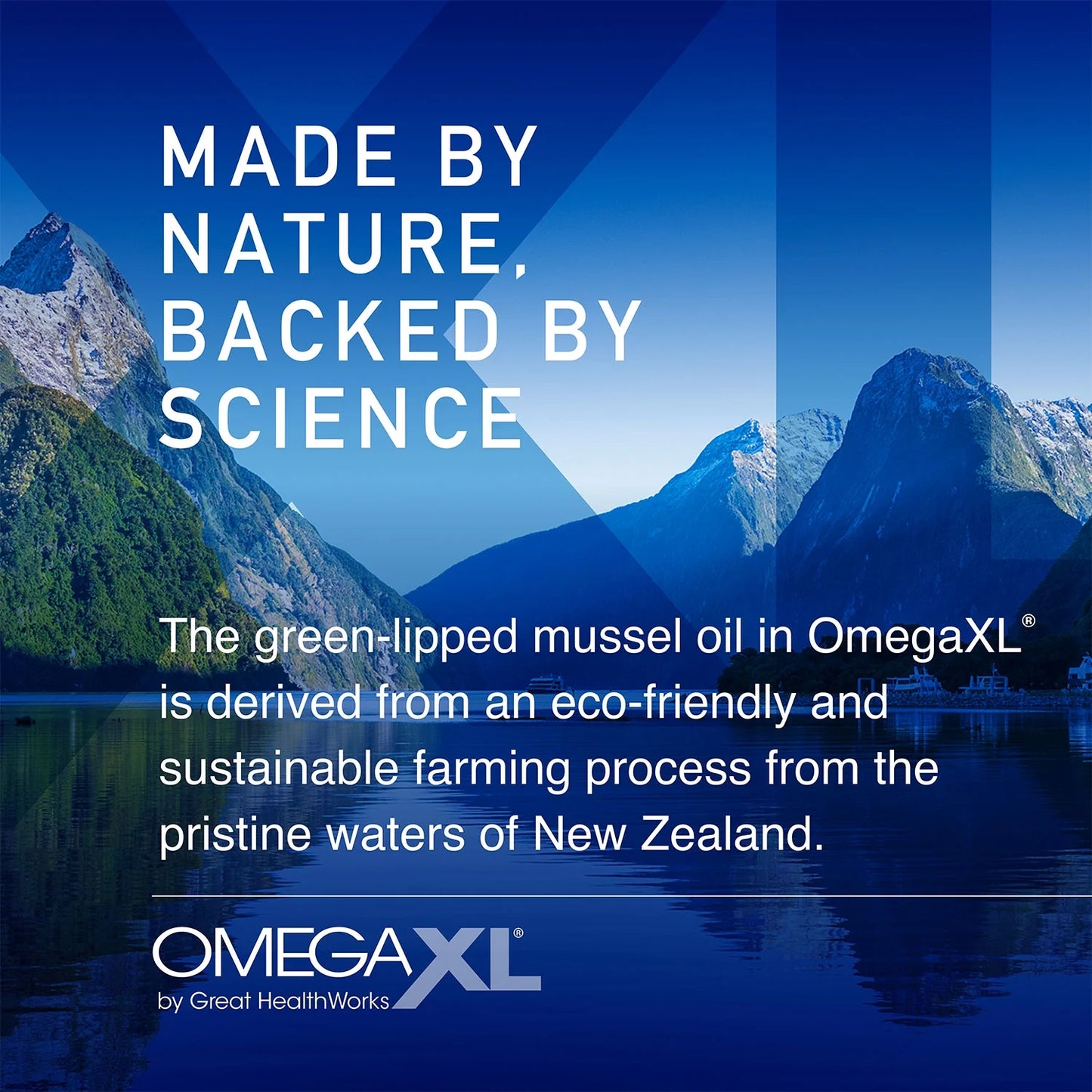 OmegaXL Joint Support Supplement – 60 Softgels – Green-Lipped Mussel Oil