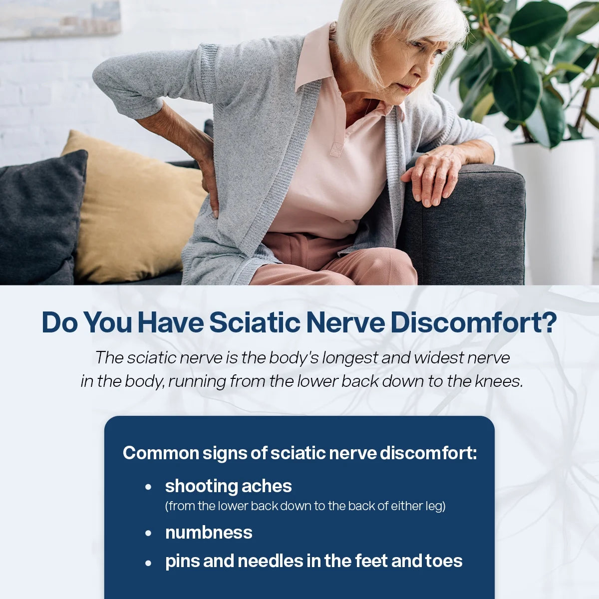 SciatiEase Sciatic Nerve Support Supplement – AlphaPalm, PEA, B Complex – 120 Capsules